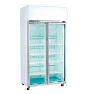 SKOPE SKT1000N-A 2 Glass Door Display or Storage Fridge