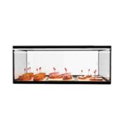 Sayl ADS0025 Ambient Display Single Tier 555mm