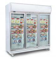 Glass 3 Door Freezers